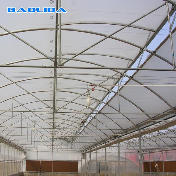 Парник полиэтиленовой пленки солнечного света/парник Rolls полиэтиленовой пленки