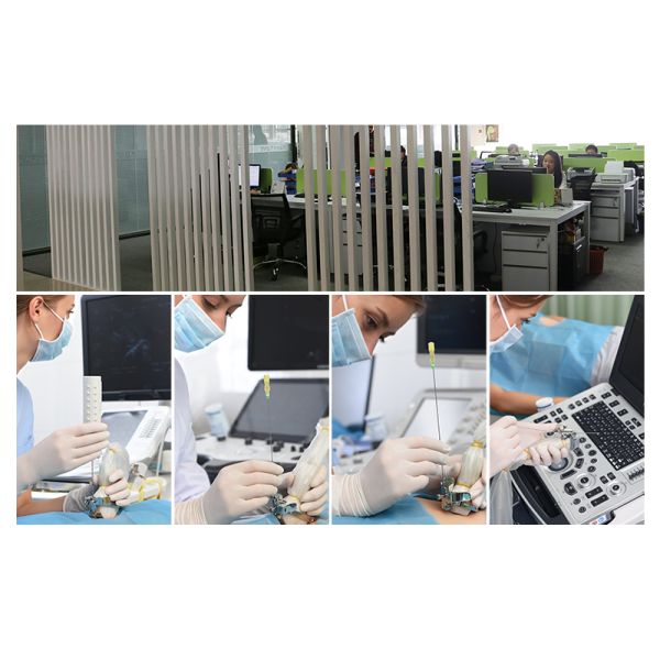 51.2V 280AH Lithium Battery Home Storage Eu Removable Solar Power Storage Battery 10KWH 15KWH 20KWH LiFePO4