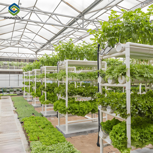 ISO Certification Commercial Hydroponic Greenhouse For Agriculture Anti Corrosion