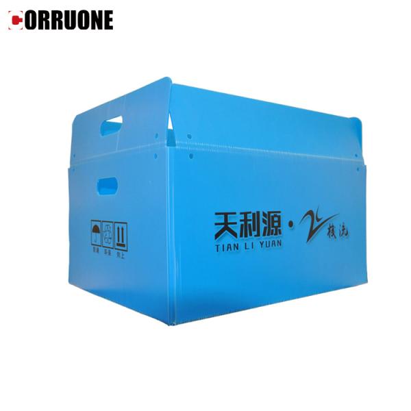 Коробка сота ящиков для хранения Корфлейт брокколи рифленая для плодов