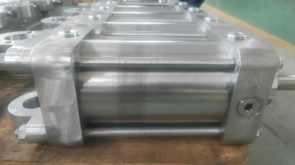 Stainless Steel Air Pneumatic Cylinder Acting Custom Standard