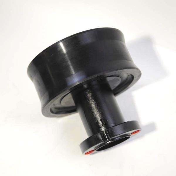 10161980 G Schwing Sch  Dn 250 Piston Ram