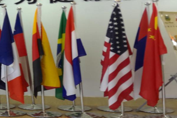 No Collar Free Standing Flagpole , Indoor Flag Pole Stability For Enterprise