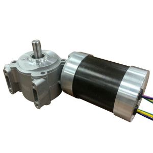 Brushless DC Worm Gear Motor