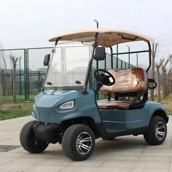 Electric Car with Standing Postion of Tail Caddie Equipped and 2500*1250*1850 Size