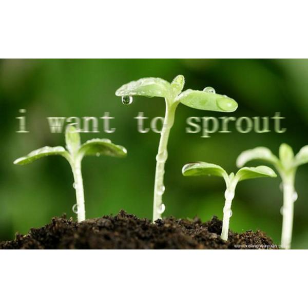 Hydroponic бак завода сладкого картофеля бака 4L питомника 12cm PS пластиковый облегченный