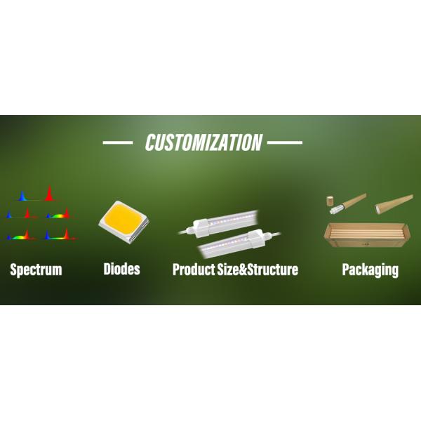 T8 Led Grow Light Tube Clone Light 14w 0.6m Length Waterprooof Daisy Chain microgreen Vegetable Flower Seedling