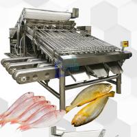 Máquina automática de classificação de peixes 4900W Antieródio multiuso