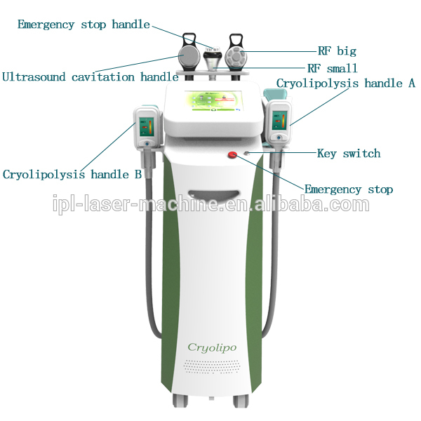 High Quality Body Shape Ultrasound Whole Body Slimming Fat Reduction Cryolipolysis Machine