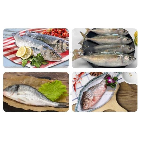 High Power Electric Fish Processing Machine For Fish Scale Removal