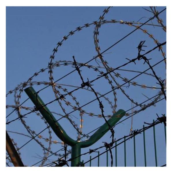 Escalada resistente de Powder Coated Corrosion da cerca de fio da lâmina de lâmina de 4 milímetros anti