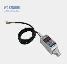 24Vdc 4-20MA 2-point Control Digital Pressure Switch With LCD / LED Display Controller Switch