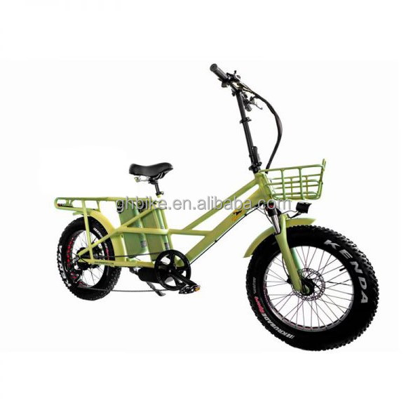 48V Electric Dual Motor 1000 Watt Long Range Fat Tire Cargo E-Bike with Fast Charging