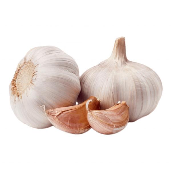 Chinese fresh normal white garlic fresh vegetables and pure white garlic for export