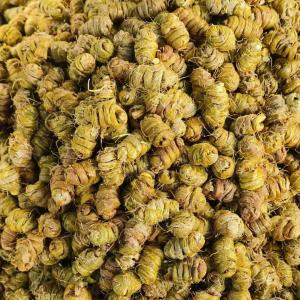Dried Dendrobium Nobile Lindl Chinese Herbal Supplements ISO9001 Certificate
