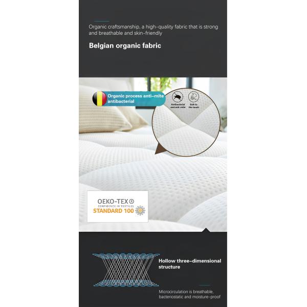 Natural Latex Organic Materials Flexible Spinal Protection for Bedroom Sofa Cushion