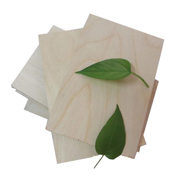 Full Hardwood Core MR 12mm Film Faced Birch Plywood
