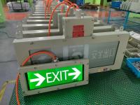 Luz de salida LED a prueba de explosiones OEM 24VCC/36VCC/CA | Iluminación de seguridad certificada para aplicaciones de Zona 1/Zona 2