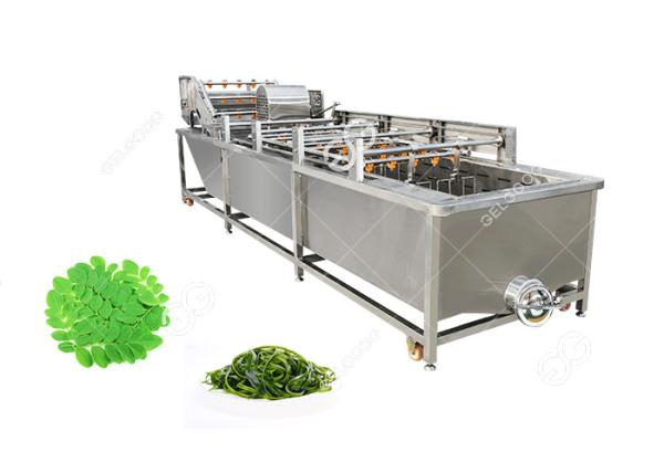 Bubble Type Ozone Vegetable Washing Machine Strawberry Cherry Fruit Washing Equipment