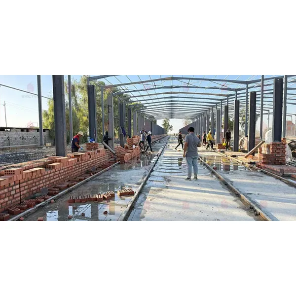 Brictec Clay Brick Production Line Project Showcase in Iraq From A to Z