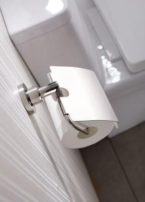 O ODM Recessed suporte do papel higiênico do banheiro fixado na parede
