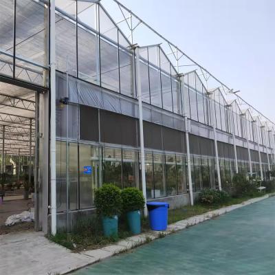 Snow Resistant Luxury Multi-span Agricultural Venlo Glass Greenhouse For Vegetable Growing