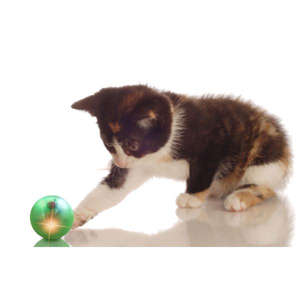 Lightweight Cute Pet Toys Abs Ball Diameter 44mm Four Kinds Of Sounds For Adjustment