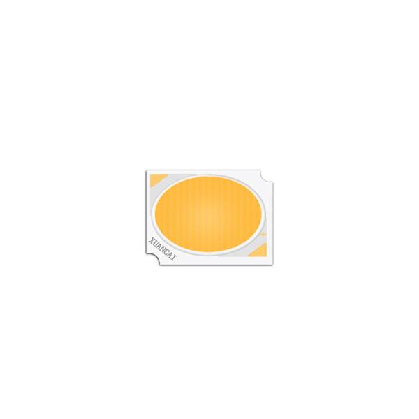 Project light High Brightness 170LM 30W 6500K US Bridgelux LED Chip