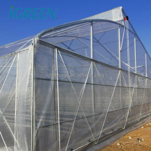 Durable Hot Dipped Galvanized Steel Structure Greenhouses for Tomato Lettuce and Pepper