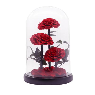Presente preservado eterno do dia de Rose Glass Dome For Valentines do toque real