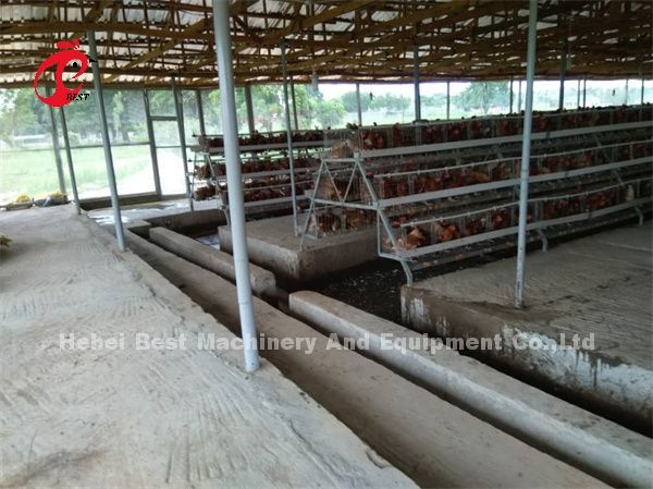 Горячая окунутая гальванизированная система клетки батареи слоя для птицефермы Q235 стального Эмили