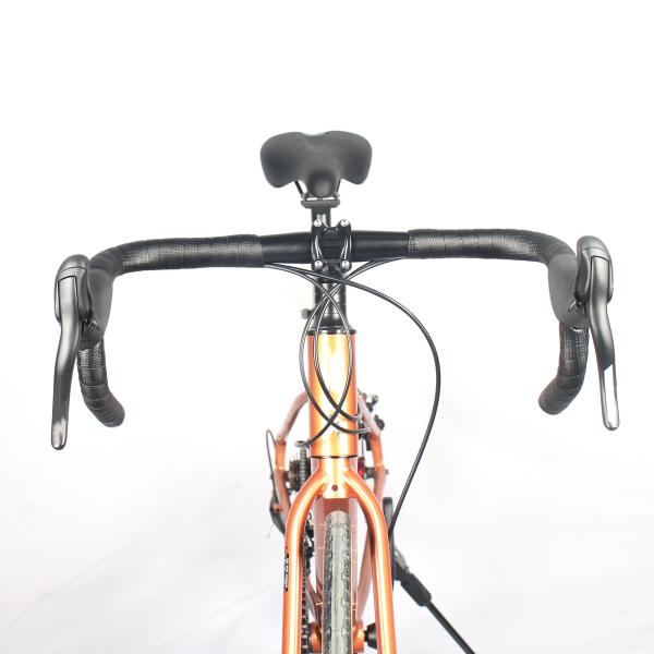 Venda de homens e mulheres de boa qualidade Single Speed 700C Bicicleta Mountain bike