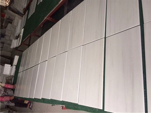 Pure White Dolomite Marble Natural Stone Tile With Soft Light Grey Vein