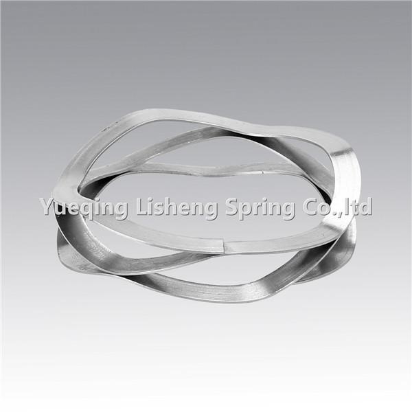 C Series Stainless Steel Wave Spring