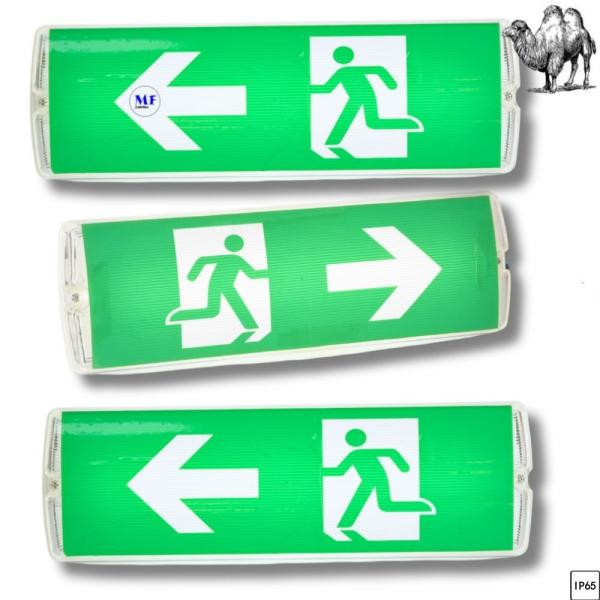 SAA / CE 8W IP65 AC220V-240V Waterproof Battery Rechargeable Bulkhead Exit Sign LED Emergency Light for Office Factory Hotel Parking Lot