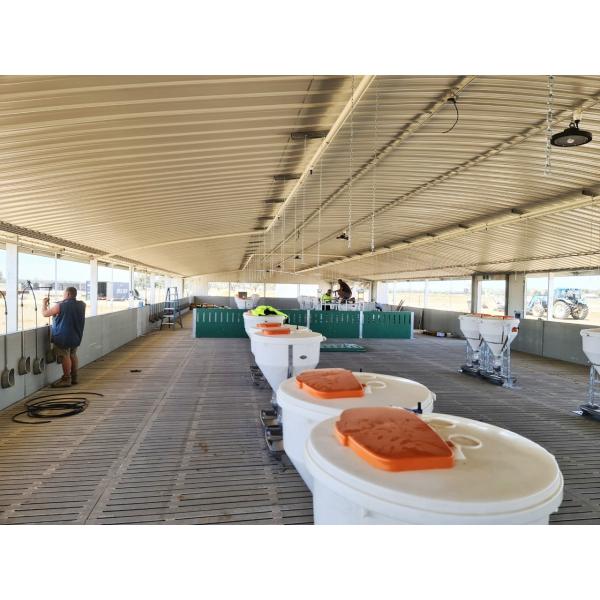 Maison de porcherie en acier Installation sur place Construction de poulailler