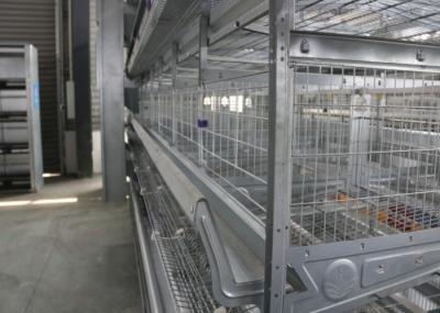 High Performance Industrial Chicken Coop Easy To Assemble ISO Certification