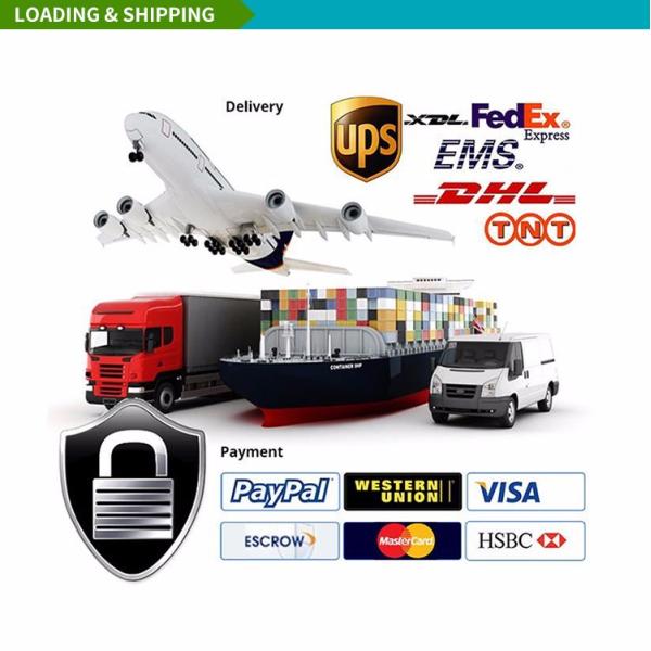 60 Count Educational Disposable Table Topper , Children's Disposable Placemats