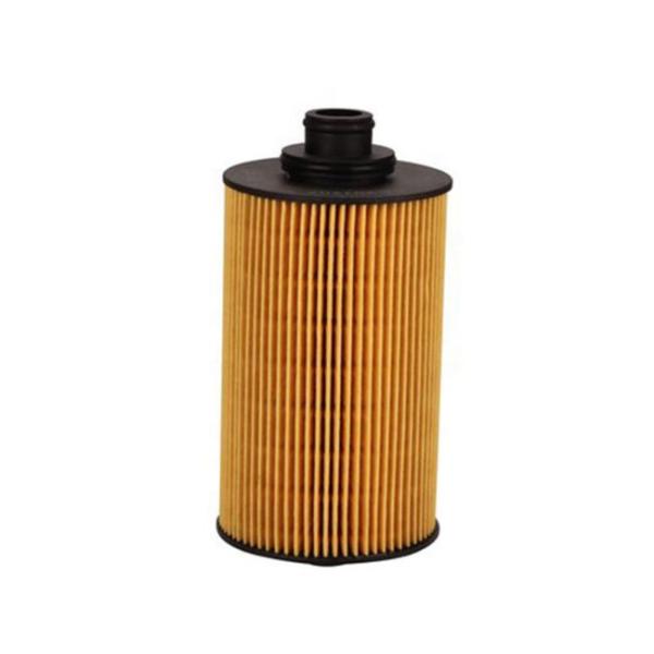 Oil Filter Element 13055724 13010970 for AG-CHEM Car Fitment Diesel Engine Parts