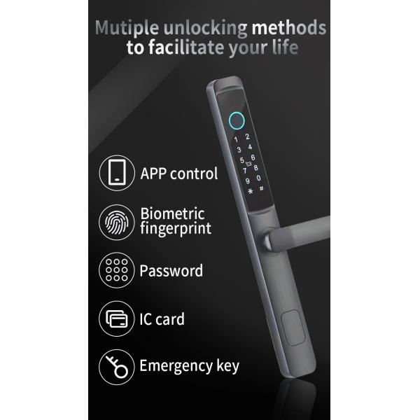 Mobile Ev Fast Charger Station 60A 80A 125A 250A Chademo Fast Ev Car Dc Charger Gun Cable