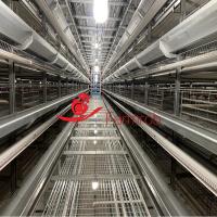 434 cm2 Surface Q235 Couche d'acier Système de cage de poulet avec hauteur d'étage 700 mm