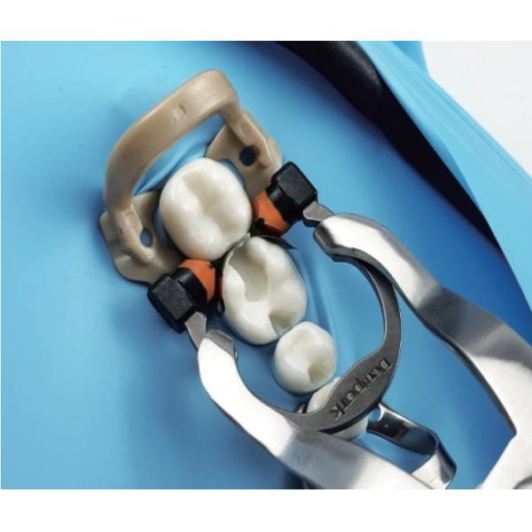 Tofflemire Matrix Band Holder Dental A3 Bands Clamp Ring Resin