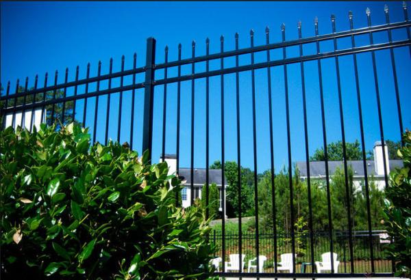 Easy Install / Handle Decorative Wrought Iron Fence Panels Maintenance Free