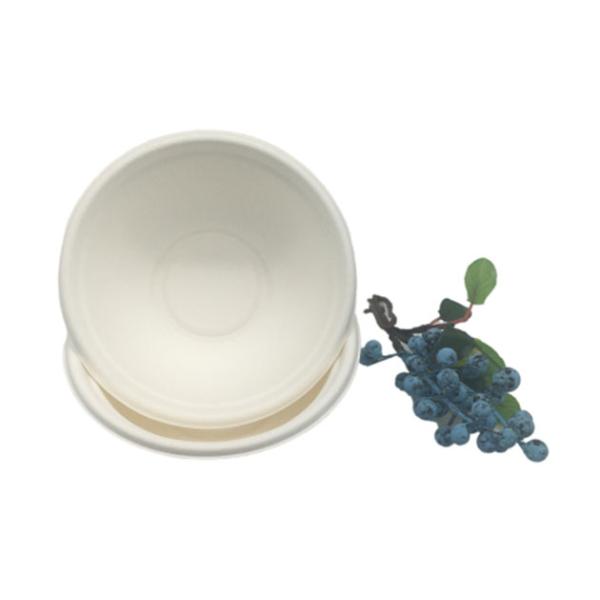 12oz 130×50mm Compostable Paper Plates And Bowls