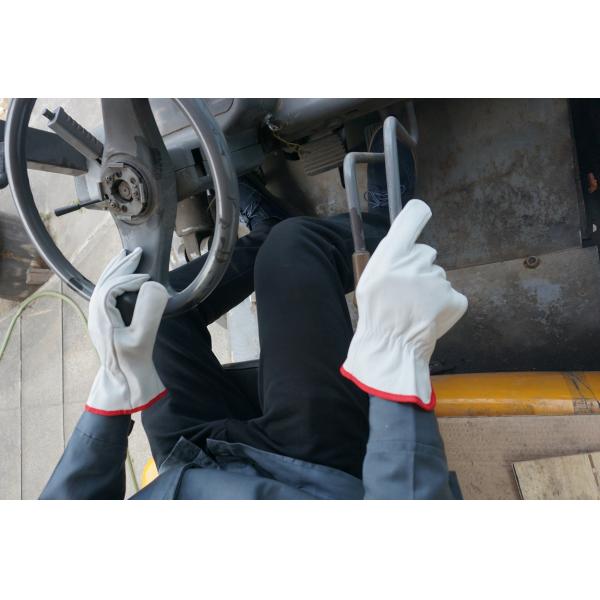 Задняя часть полиэстера отсутствие перчаток овчины подкладки кожаных