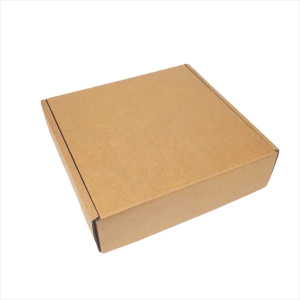 Bento Disposable Takeaway Boxes Custom Food Kraft Pizza Box Custom Food Pizza Box