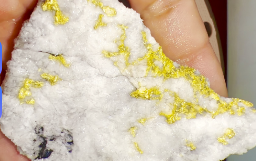 Fluidized Bed Roaster for Refractory Gold Ore Processing with 12-24 Hour Leaching and Direct 99.99% Pure Gold Production