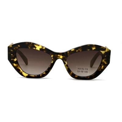 Stylish and Protective Acetate Frame Sunglasses AS170