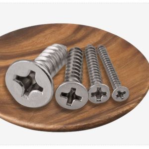 Stainless Steel Screws