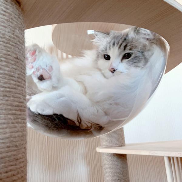 Mobília à moda Cat Scratching Furniture Sustainable moderna do animal de estimação do tamanho grande